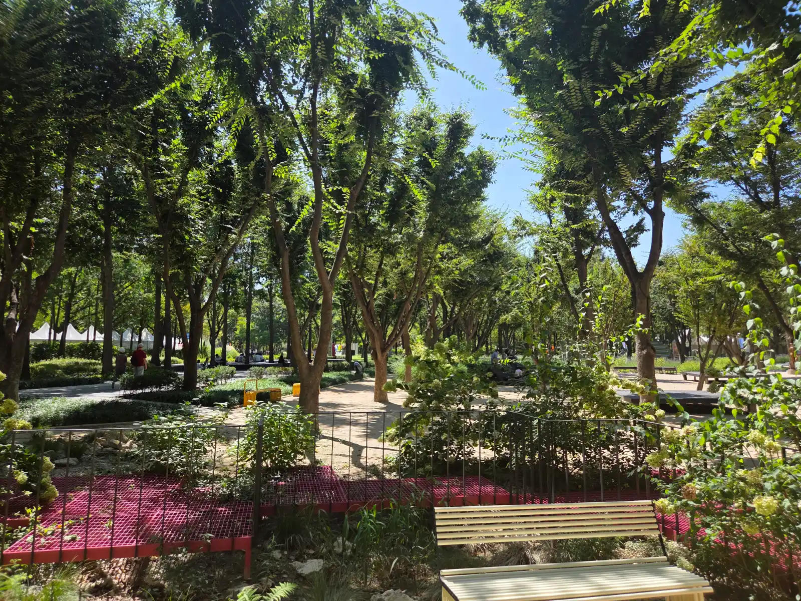 🌳 The Complete Guide to Seoul Forest — The Huge Urban Forest Next to Seongsu-dong, and How Foreigners Can Easily Walk and Rest There - 2