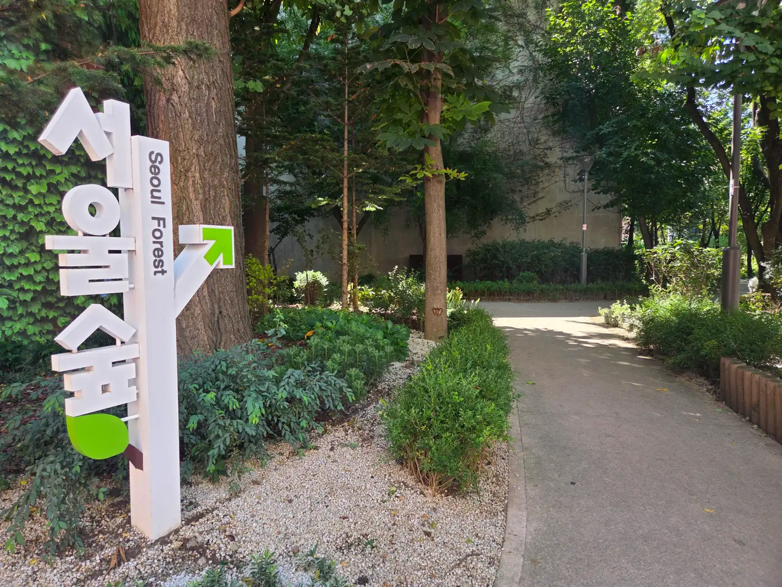 🌳 The Complete Guide to Seoul Forest — The Huge Urban Forest Next to Seongsu-dong, and How Foreigners Can Easily Walk and Rest There - 1