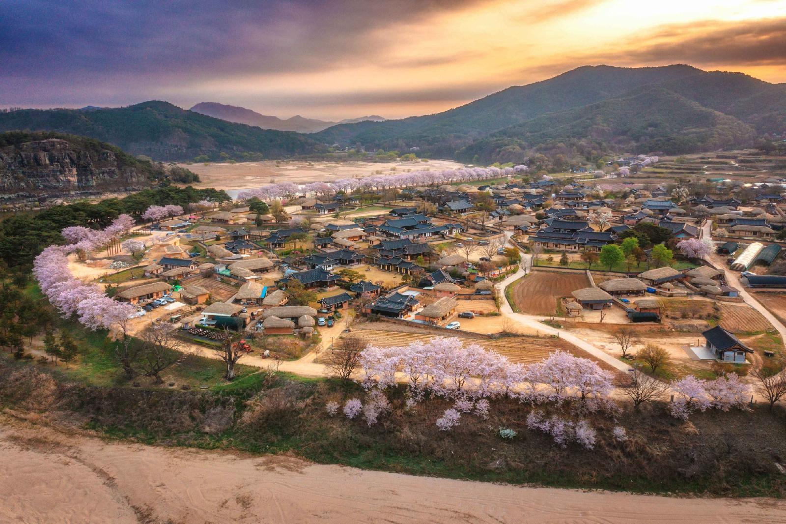 답변 이미지 1