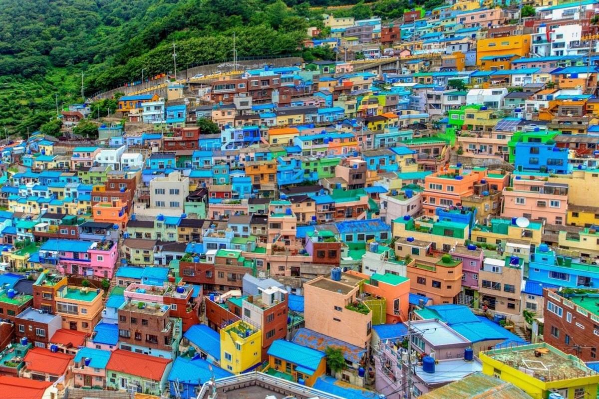 답변 이미지 1