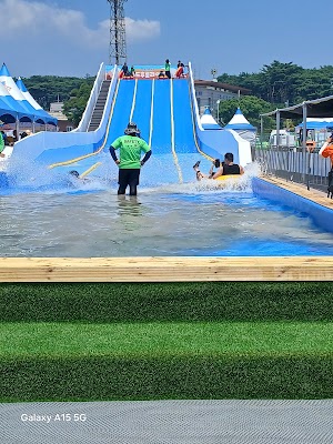 보령 머드 축제