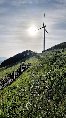 Anbandegi